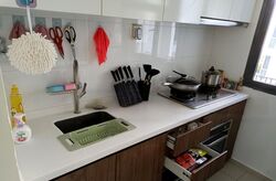 Palm Isles (D17), Condominium #581363601